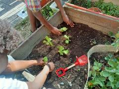 IMG-20250903-WA0009
